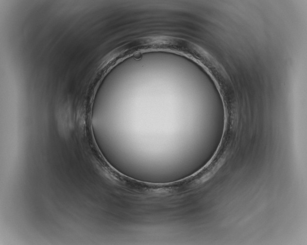 X0000111631017200907171522