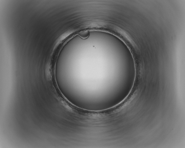 X0000111631018200907171522