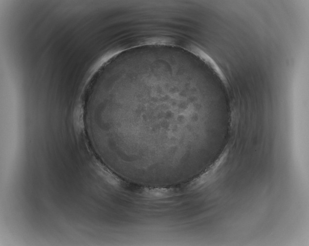 X0000111631019200907171522