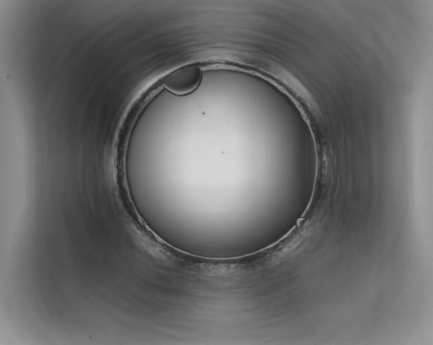 X0000111631020200907171522