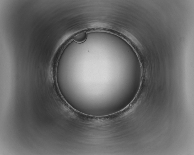 X0000111631022200907171522