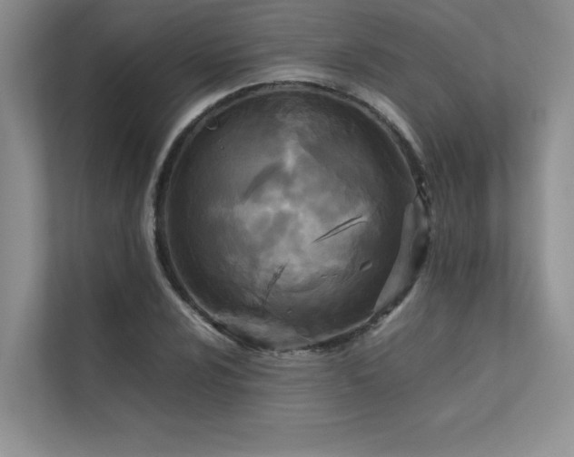 X0000111631024200907171522