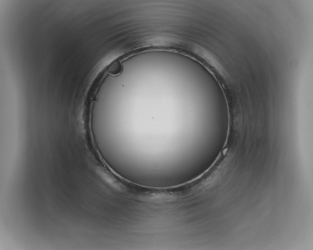 X0000111631026200907171522