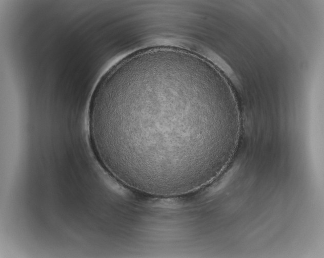 X0000111631028200907171522