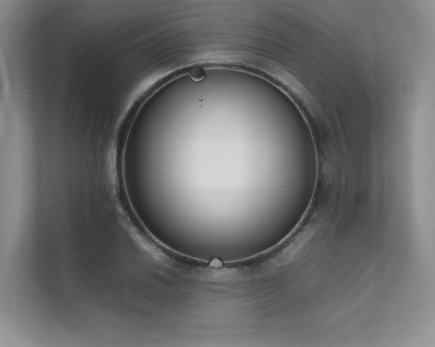 X0000111631030200907171522