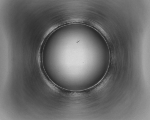 X0000111631034200907171522