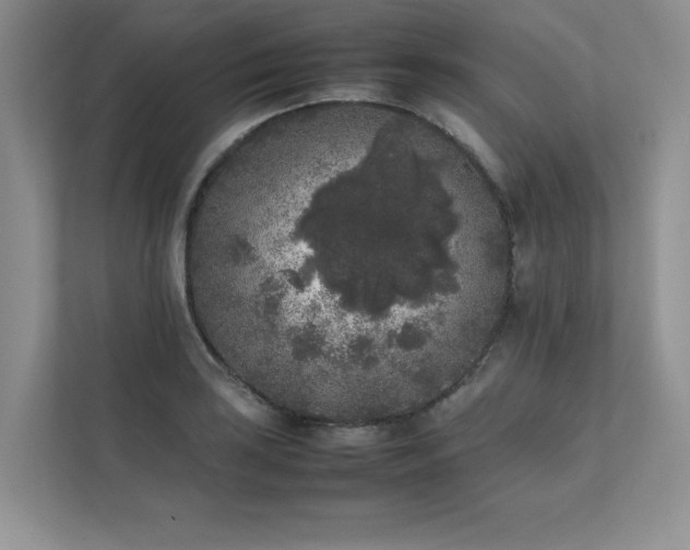 X0000111631035200907171522