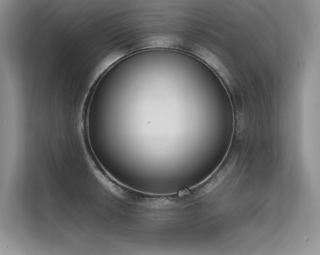 X0000111631042200907171523