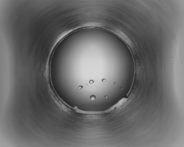 X0000111631044200907171523