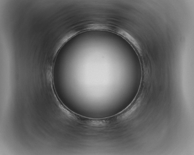 X0000111631049200907171523