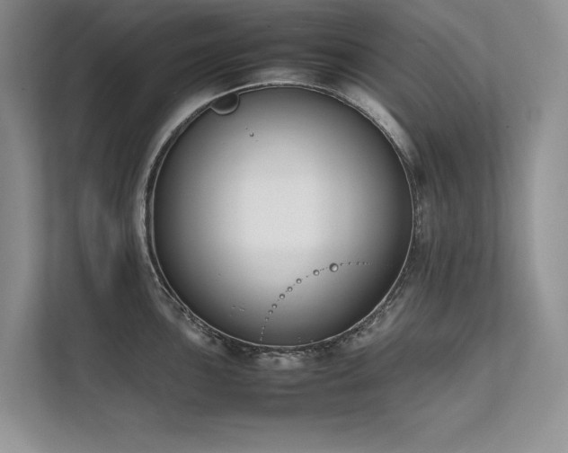X0000111631051200907171523