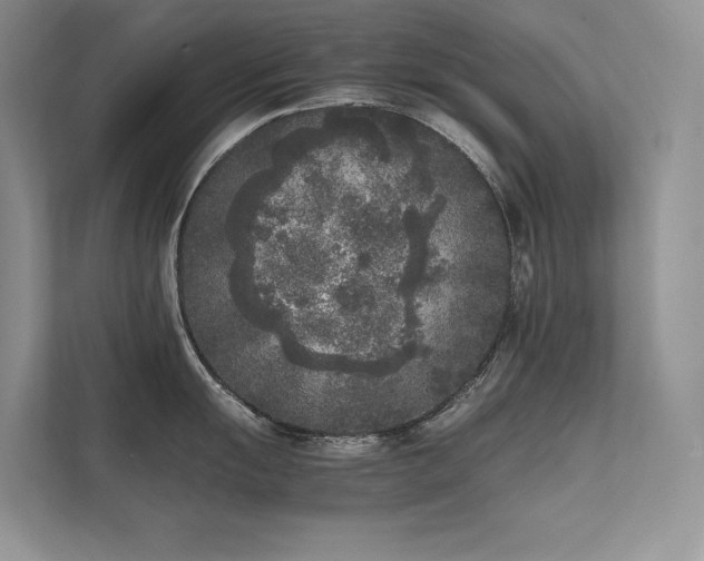 X0000111631055200907171523