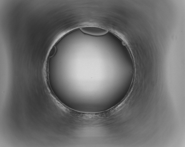 X0000111631056200907171523