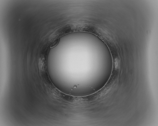 X0000111631059200907171522