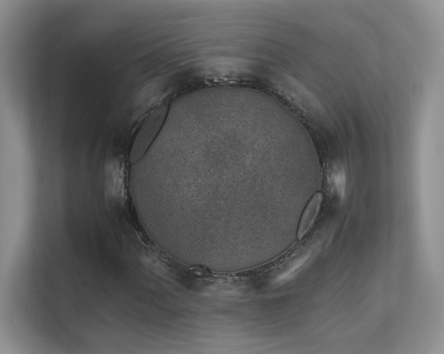 X0000111631060200907171522