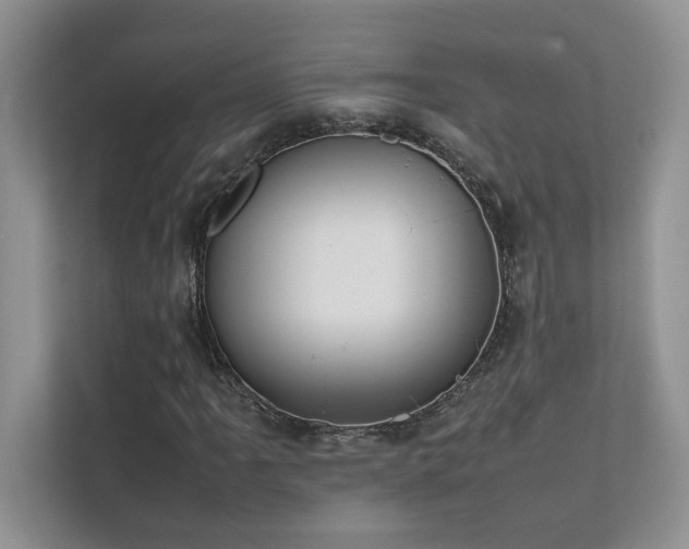 X0000111631061200907171522