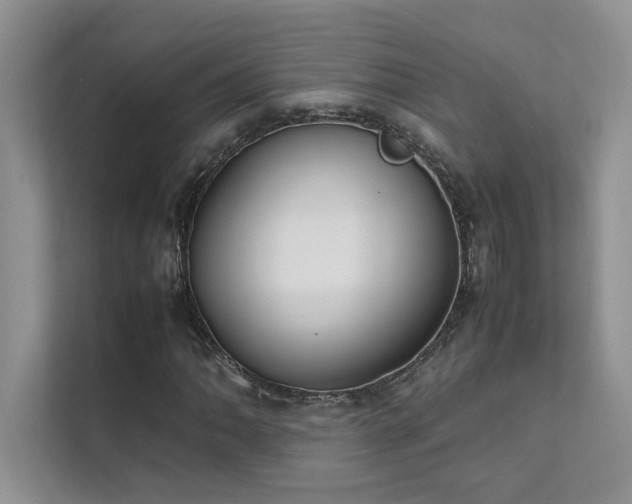 X0000111631062200907171522