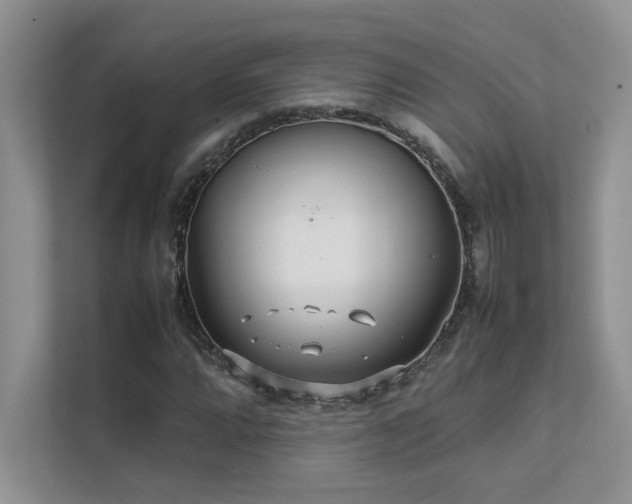 X0000111631064200907171522