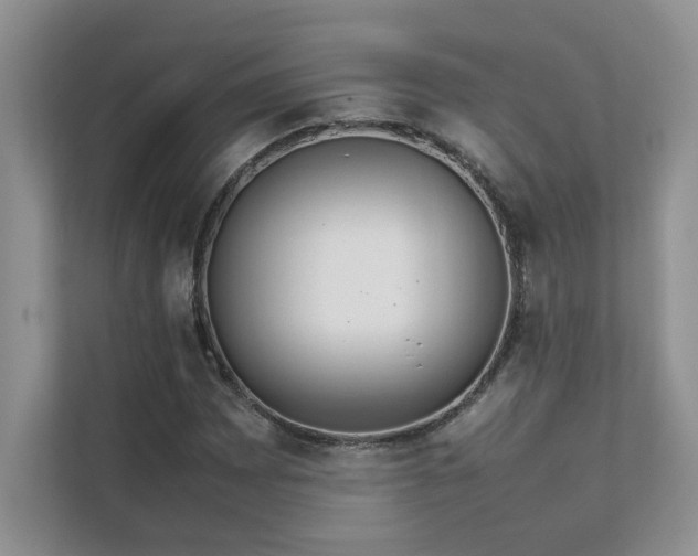 X0000111631065200907171522