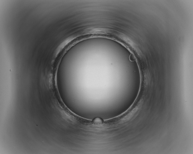 X0000111631066200907171522