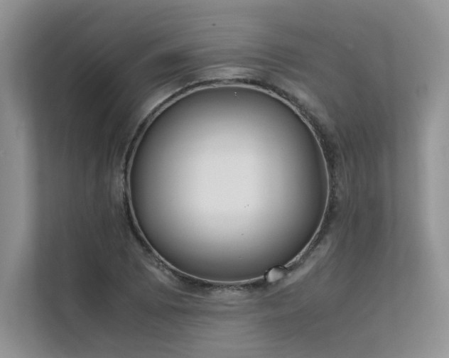 X0000111631073200907171522