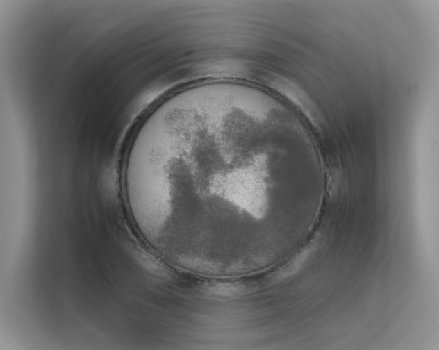 X0000111631074200907171522
