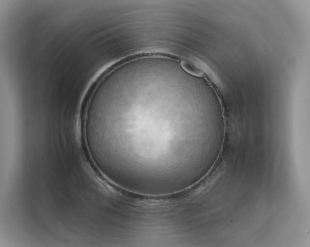 X0000111631076200907171522