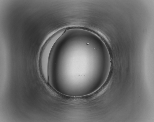 X0000111631077200907171522