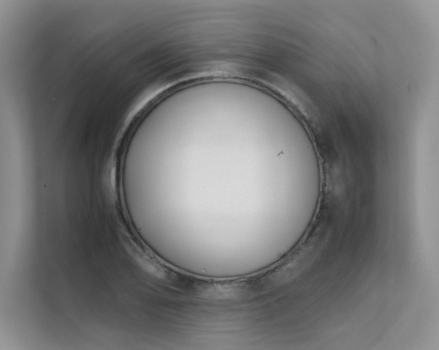 X0000111631078200907171522