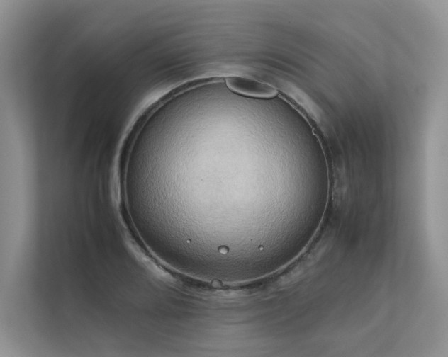 X0000111631080200907171522
