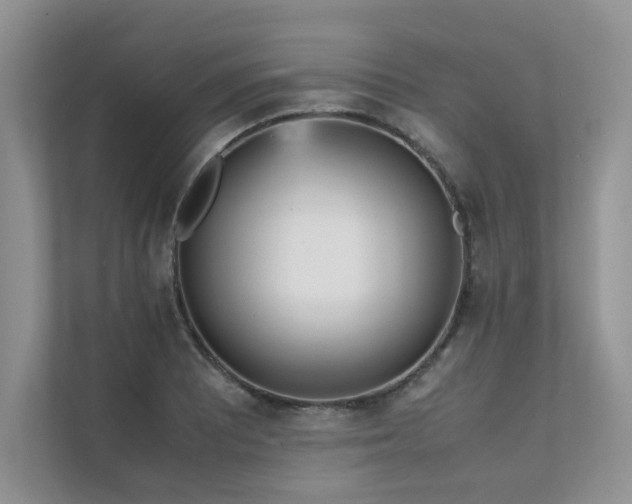 X0000111631081200907171522