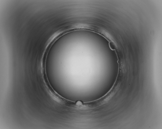 X0000111631082200907171522