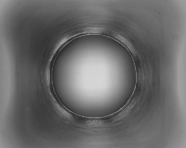 X0000111631083200907171522