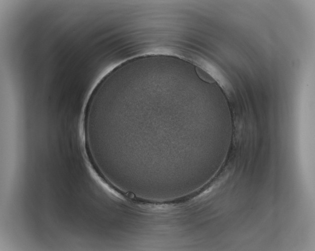X0000111631084200907171522
