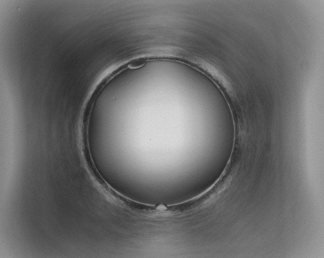 X0000111631085200907171522