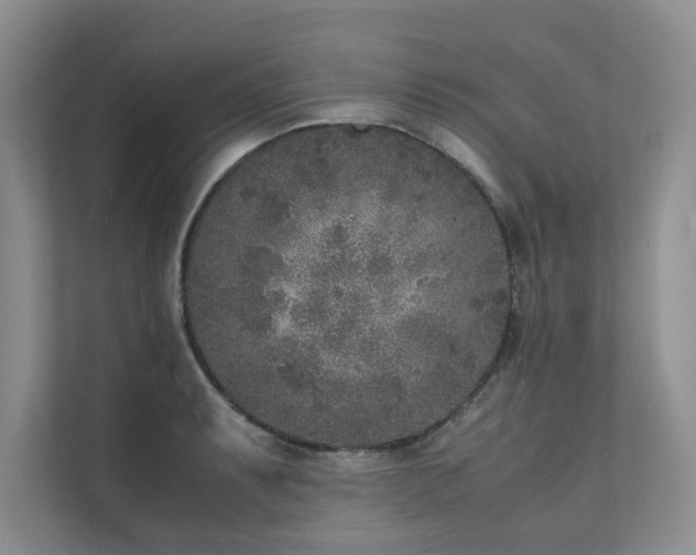 X0000111631087200907171522
