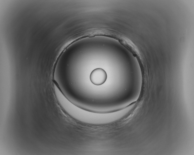 X0000111631089200907171522