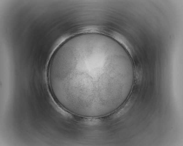 X0000111631090200907171522