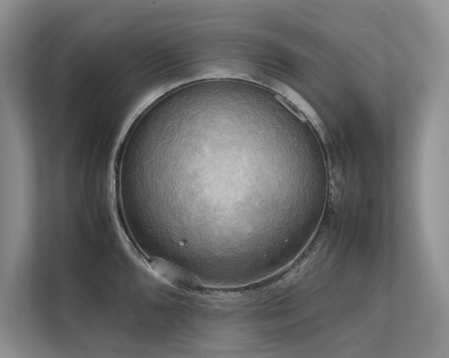 X0000111631096200907171522