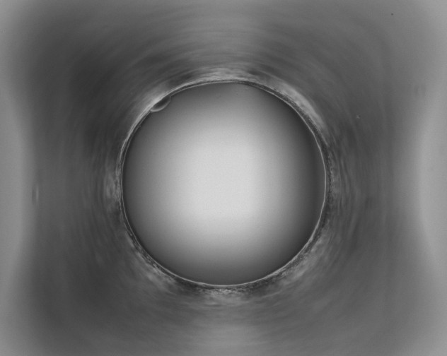 X0000111631097200907171522
