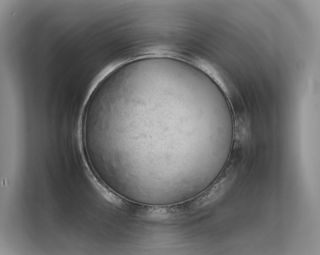 X0000111631098200907171522