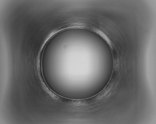 X0000111631099200907171522