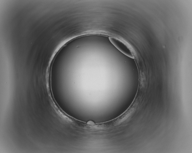 X0000111631102200907171522