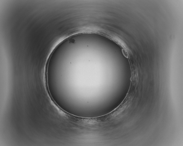 X0000111631103200907171522