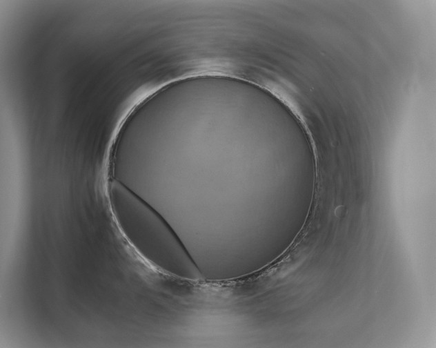 X0000111631104200907171521