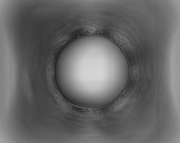 X0000111631105200907171521