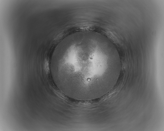 X0000111631106200907171521