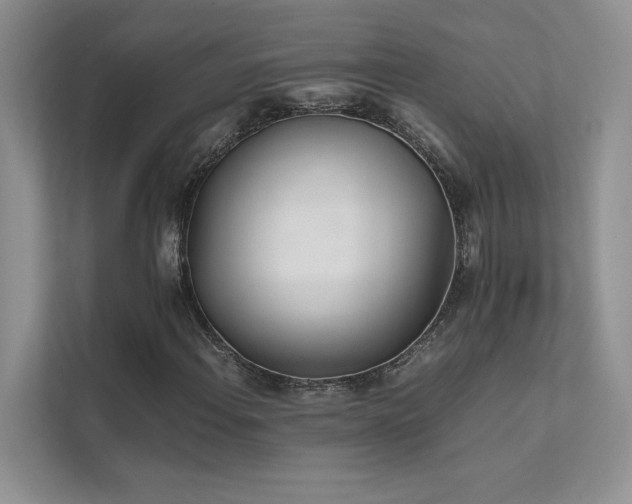 X0000111631108200907171521