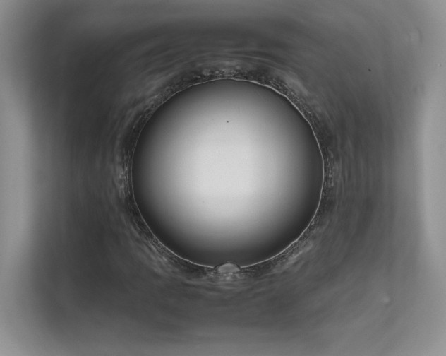 X0000111631109200907171521
