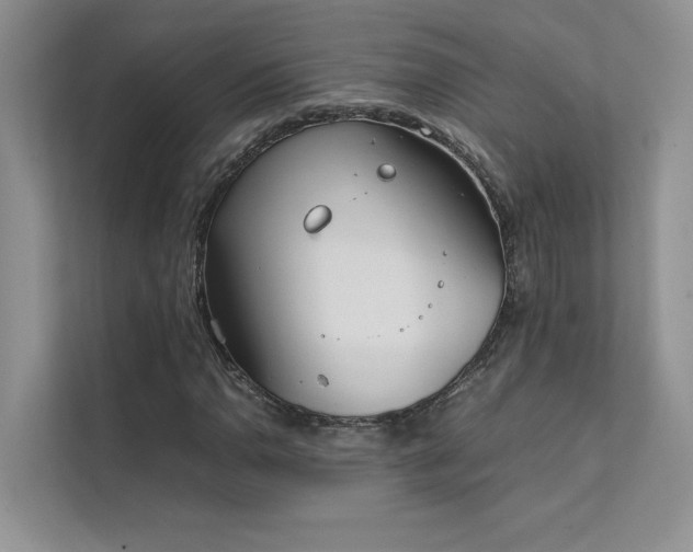 X0000111631110200907171521